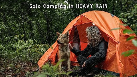 SOLO CAMPING in the RAIN with my Dog | Relaxing Rain and Nature Sounds, Cooking, ASMR