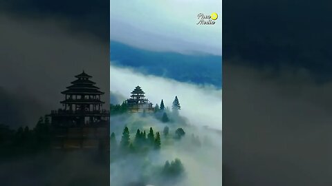 The most beautiful silent evironment of rice farmer village 😍 #nature #soundcloud #viral Episode78