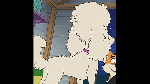 Honey Poodle Mutt Butt Moments - Who's Getting Cold Feet?