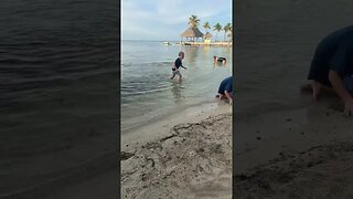 Florida Keys Beach Fun