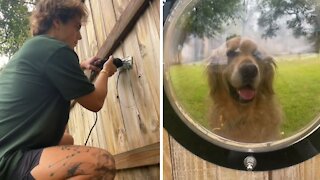 Guy Puts Window In Fence For Pup To See Through