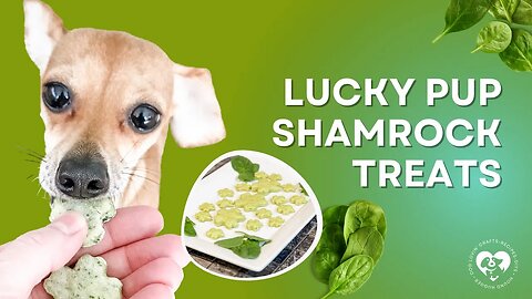 Lucky Pup Shamrock Treats