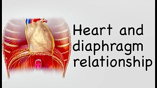 Heart and diaphragm relationship - 𝐒̌𝐢𝐫𝐝𝐢𝐞𝐬 𝐫𝐲𝐬̌𝐲𝐬 𝐬𝐮 𝐝𝐢𝐚𝐟𝐫𝐚𝐠𝐦𝐚