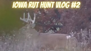 Iowa Whitetail Rut Hunt 2022 VLOG 2 | Closing in!