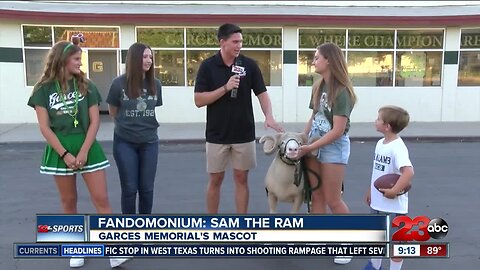 Fandomodium: Sam the Ram