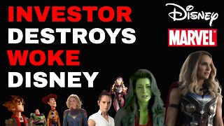 WOKE DISNEY DESTROYED By Anti-Woke Investor!