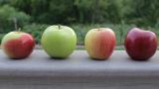 Nutritional Benefits Of Apples For Athletes