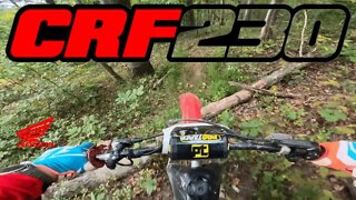 Honda CRF230F...most underrated bike of all time?!
