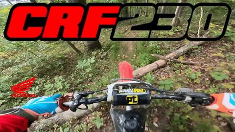 Honda CRF230F...most underrated bike of all time?!