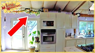 DIY Plant Trellis, Baby Changing Table & Bry's Vehicle Find | Weekly Peek Ep206