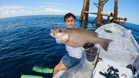 Panga Fishing & Spearfishing Oil Rigs for Cobia & Snapper! (Gulf of Mexico)