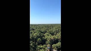 Part 4 | Myakka River State Park | Canopy Walk View From The Top | 4K