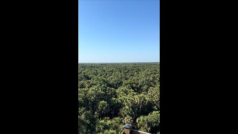Part 4 | Myakka River State Park | Canopy Walk View From The Top | 4K