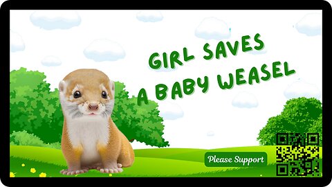 The Joy of Saving a Baby Weasel: Being Foster Weasel Parents