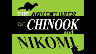 Adventures of Chinook