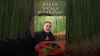 Learn to Grow Cannabis For Free... Subscribe... The Dude Grows Show