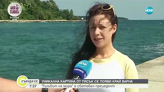 Уникална картина от пясък се появи на плаж край Варна