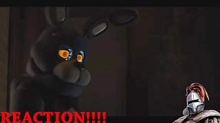 Five Nights At Freddy's REACTION!!!