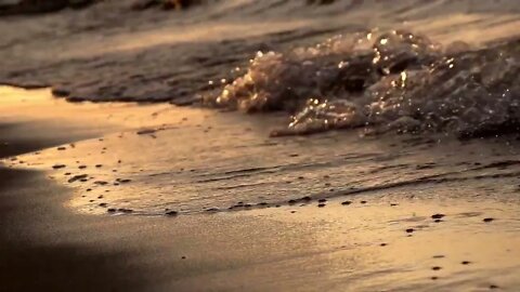 Beachfront B Roll Sunset Waves Close Up Free to Use HD Stock Video Footage