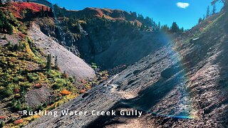 BITE-SIZED WILDS | Traversing Rushing Water Creek Gully @ Mount Hood | Timberline Loop | Oregon | 4K
