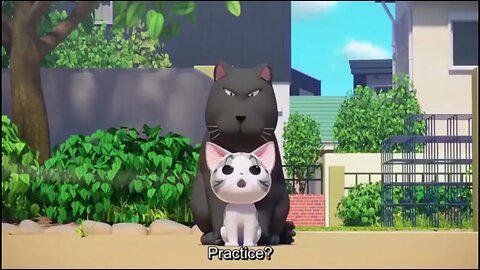 Chi #Series #15 ~ Lesson for Chi Part 2 ll #Cute #Cat #Chi #episode Road to#1000Subscriber