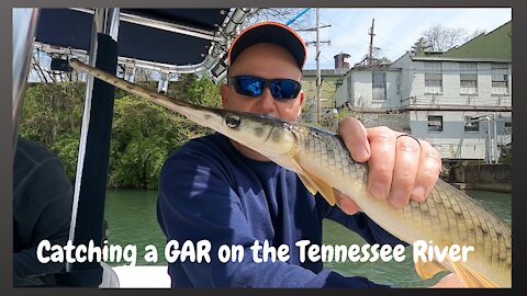 Catching a Gar on the Tennessee River