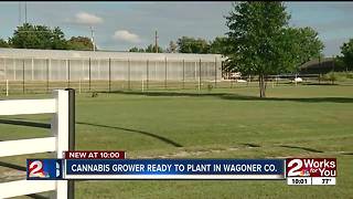 Cannabis grower ready to plant in Wagoner County
