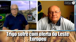 Trigo sofre com oferta do Leste Europeu