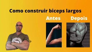 Como construir bíceps mais largos