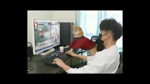 Dog Rage Quits?! Shiba plays video games against human | #Shorts #RAGEQUIT