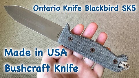 Ontario Knife Blackbird SK5 - Made In USA in 4k UHD