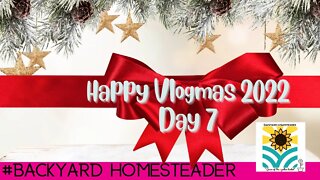 Vlogmas 2022 Day 7