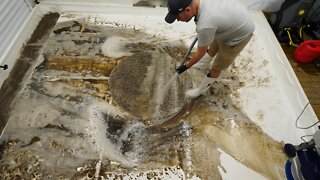 Flooded Rug Heavy With Mud ! Satisfying Time Lapse
