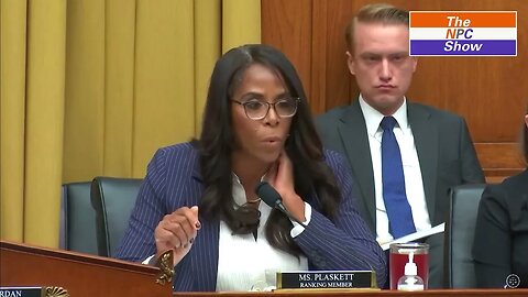 Stacey Plaskett And Jim Jordan Go At It During Matt Taibbi's Testimony To Congress 🟠⚪🟣 The NPC Show