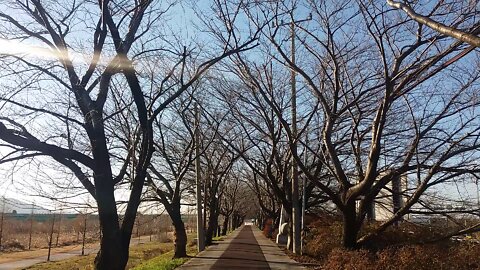 Bike path on a very cold winter day.