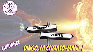 Dingo, la climato-manie ! 29/05/2023