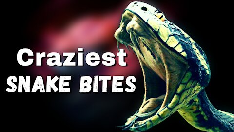 Deadly Snake bites