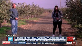 Brunchin' with Bell: Pulford Apple Tree Orchard