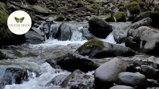 😴 Relaxing Sleep Music|Calming River Stream Sound With Chinese Flute| Meditation Music/Stress Relief