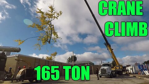 Maple Removal, Huge Crane (NO idea what I'm doing)