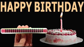 How to Play Happy Birthday on a Tremolo Harmonica with 20 Holes