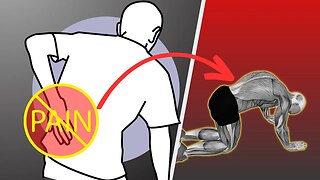 Most Effective Exercises For Lower Back