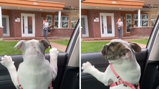 Loving pup has a hard time saying goodbye to grandma