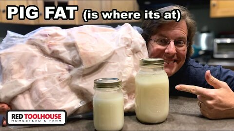 5 Reasons NOT to WASTE Your Pig Fat