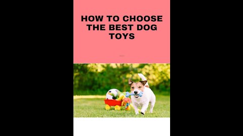 How To Choose The Best Dog Toys 2021