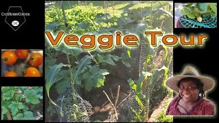 Veggie Update - 18Jul2022