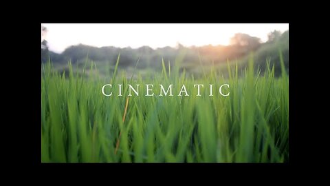 4K Nature Cinematography - Cinematic Background Music