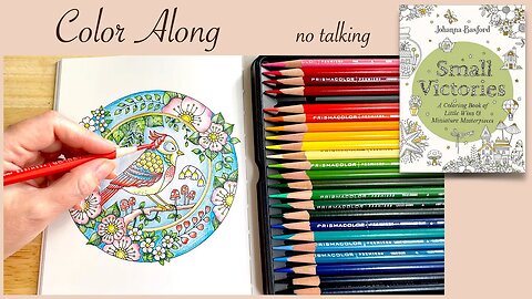 🌷 Healing Stress Relief "Small Victories" by Johanna Basford | no talking ASMR, Color Along