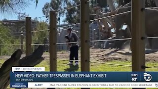 New video: Father trespasses into San Diego Zoo elephant enclosure