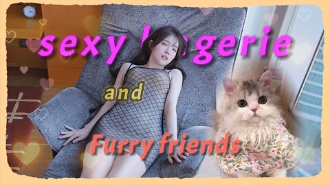 Sexy Lingerie Beauty Try On And furry pets